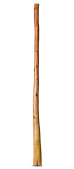 Marcos Ferrazza Didgeridoo (MF126)